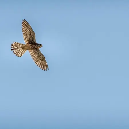 Apartman Penthouse Ventur