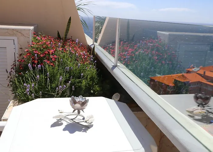 Apartment Penthouse Ventur