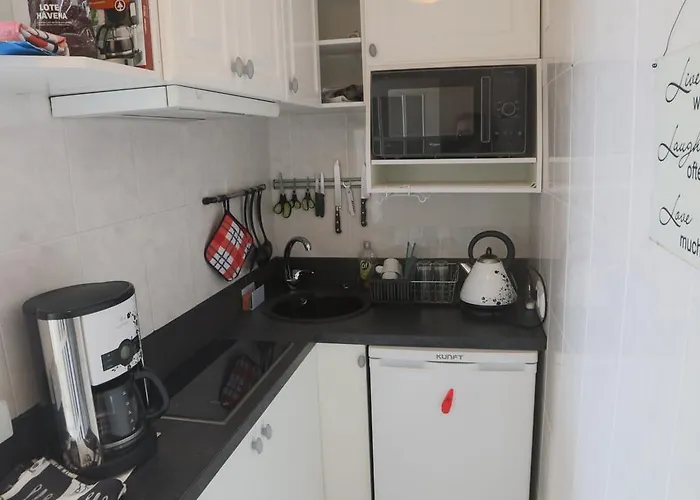 Apartment Penthouse Ventur